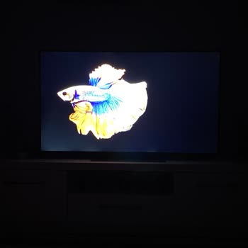 Yeni Alınan LG Televizyonda Işık Sızması Ve Değişim Talebinin Reddedilmesi