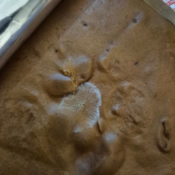 Son Kullanma Tarihi Geçmemiş Üründe Küf Sorunu Ve Hijyen Endişesi