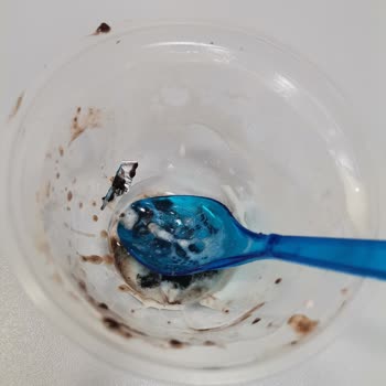 Burger King Dessert Contained Aluminum Foil