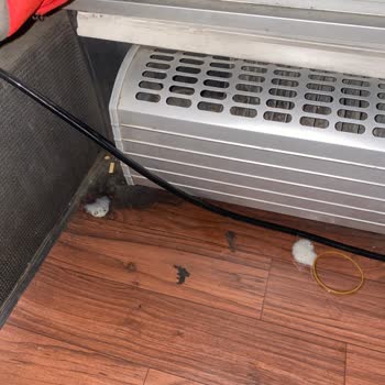 Otobüste Karşılaşılan Hijyen Sorunu Ve Personel İlgisizliği