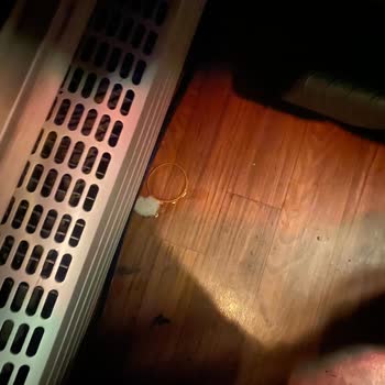 Otobüste Karşılaşılan Hijyen Sorunu Ve Personel İlgisizliği