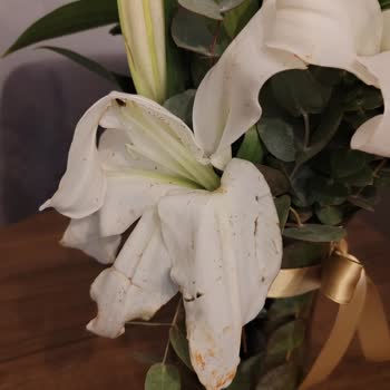 Çiçek Sepeti Öğretmenler Günü Siparişim Çürük Ve Onaysız Teslim Edildi