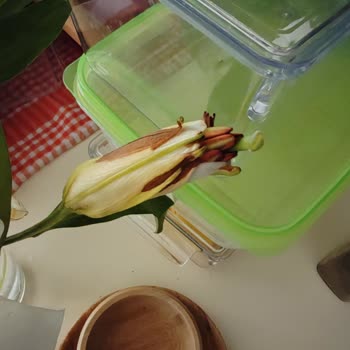 Çiçek Sepeti Öğretmenler Günü Siparişim Çürük Ve Onaysız Teslim Edildi