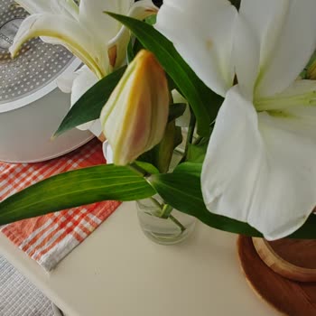 Çiçek Sepeti Öğretmenler Günü Siparişim Çürük Ve Onaysız Teslim Edildi