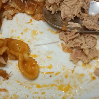 Konserve Ton Balığında Kılçık Çıkması Ve Güven Sorunu