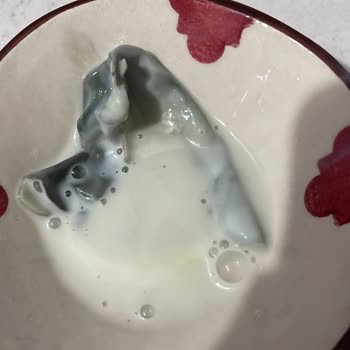 Hazır Dondurma Karışımında Küfe Benzeyen Yabancı Madde İle Karşılaşma