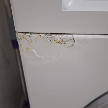 Bosch Çamaşır Makinesi Servisinden Memnun Kalmadım, Sorunlar Devam Ediyor