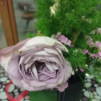 Öğretmenler Günü Siparişimde Solmuş Ve Özensiz Çiçek Gönderildi