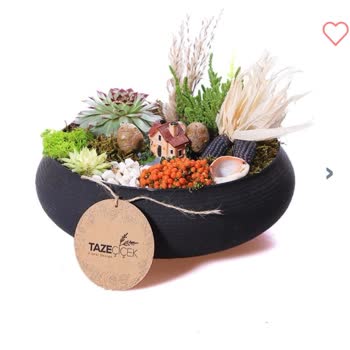 Siparişim Hem Geç Hem De Eksik Ve Hasarlı Teslim Edildi, Mağduriyet Yaşadım