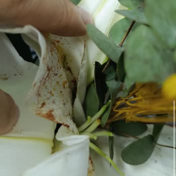 Öğretmenler Günü Siparişim Eksik Ve Kusurlu Teslim Edildi