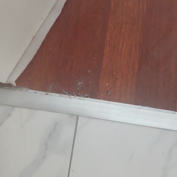 Philips 7000 XW Dikey Süpürgede Sürekli Pis Su Problemi Ve Çözüm Eksikliği