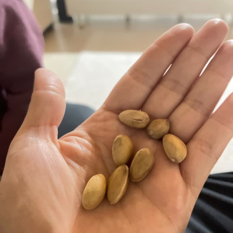 Aldığım Fıstıkların Çoğu Bayat Ve İçi Boş Çıktı
