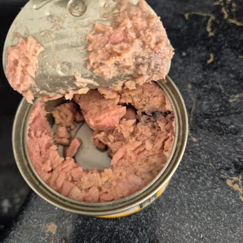 Dondurulmuş Balıkta Küf Ve Geç Teslimat Endişesi