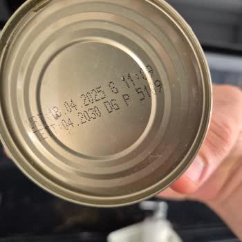 Dondurulmuş Balıkta Küf Ve Geç Teslimat Endişesi