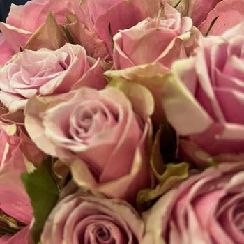 Kurumuş Ve Farklı Çiçek Teslimatıyla Öğretmenler Günü Hayal Kırıklığı