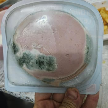 Açılmamış Sultan Piliç Salamın Son Kullanma Tarihi Geçmeden Küflenmesi Ve Sağlık Endişesi