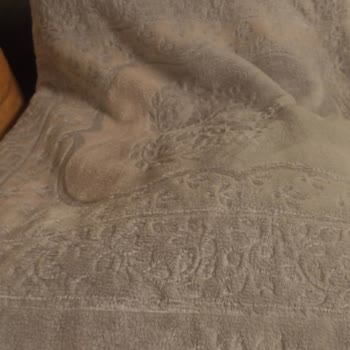 Madame Coco Battaniye Renk Değişimi Ve Olumsuz Müşteri Hizmeti