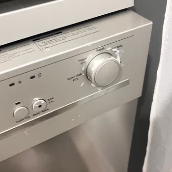 Vestel Bulaşık Makinesinde Garanti Sonrası Boya Soyulması Problemi Ve Destek Talebi