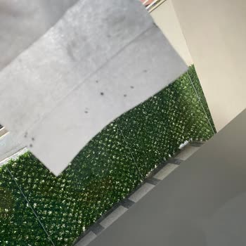 Küflü Islak Mendil Bebeğimde Pişik Ve Hassasiyete Yol Açtı