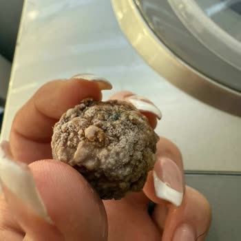 Aldığım Üründe Yabancı Madde Ve Yetersiz Müşteri Hizmeti