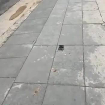 BİM'lere Neden Her Ürün Gelmiyor?
