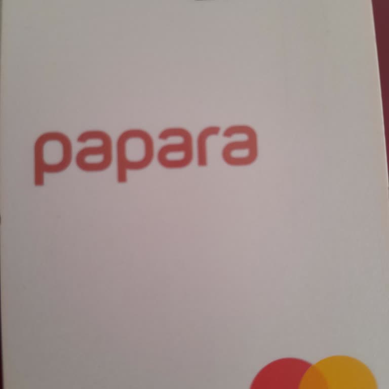 Papara Hesabımdaki Paraya Ulaşamıyorum, IBAN Ekleme Sorunu Çözülmüyor