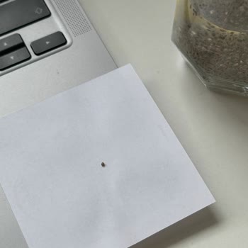 Chia Tohumlu İçecekte Taş Benzeri Yabancı Maddeyle Karşılaştım