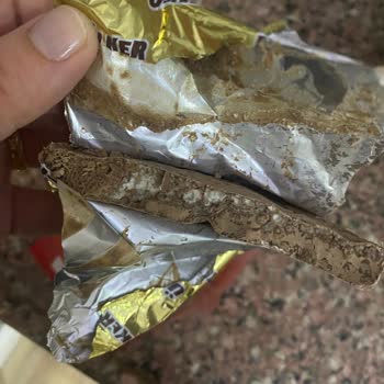 Tarihi Geçmemiş Ülker Kare Çikolatada Küf Ve Bozulma Şoku