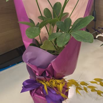 Görseldeki Ürünle Alakasız Çiçek Ve Yetersiz Çözüm Süreci