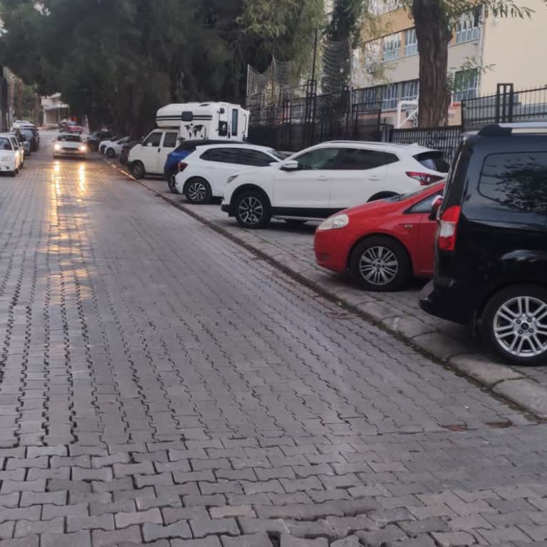 Aynı Yerde Park Eden Diğer Araçlara Ceza Yazılmadı