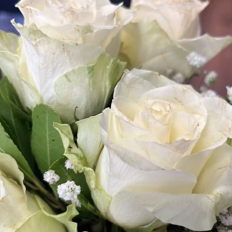 Öğretmenler Günü'nde Geç Ve Solmuş Çiçek Teslimatı Hayal Kırıklığı Yarattı