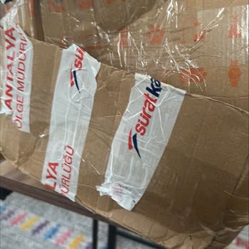 Kargom Geç Teslim Edildi Hasarlı Çıktı Muhatap Bulamıyorum