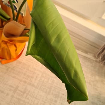 Öğretmenler Günü'nde Siparişim Eksik Ve Sağlıksız Geldi, Çözüm Sunulmadı