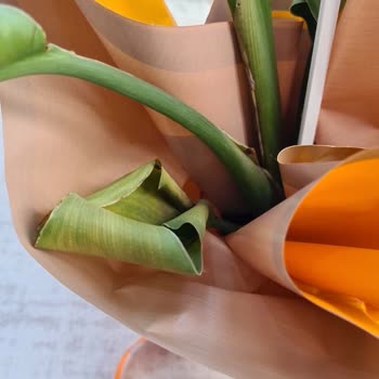 Öğretmenler Günü'nde Siparişim Eksik Ve Sağlıksız Geldi, Çözüm Sunulmadı