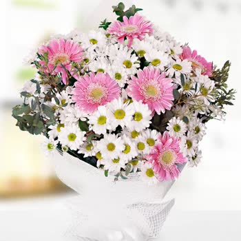 Yanlış Ve Geç Teslimat Nedeniyle Mağduriyet Yaşadım