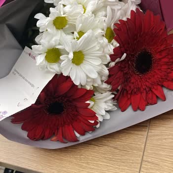 Yanlış Ve Geç Teslimat Nedeniyle Mağduriyet Yaşadım