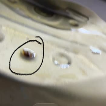 Satın Aldığım Yaprak Sarmada Sinek Çıkması Ve Hijyen Endişesi