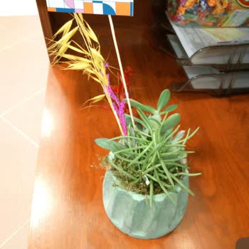 Sipariş Ettiğim Teraryum Görselden Tamamen Farklı Geldi Ve Muhatap Bulamıyorum