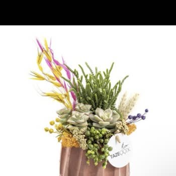 Sipariş Ettiğim Teraryum Görselden Tamamen Farklı Geldi Ve Muhatap Bulamıyorum