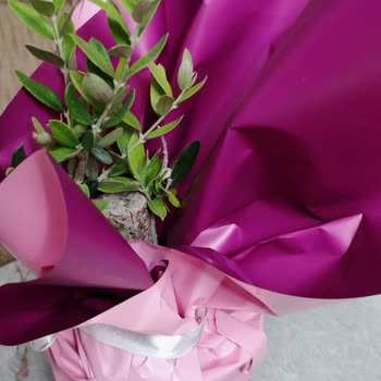 Öğretmenler Günü Siparişim Hayal Kırıklığına Uğrattı