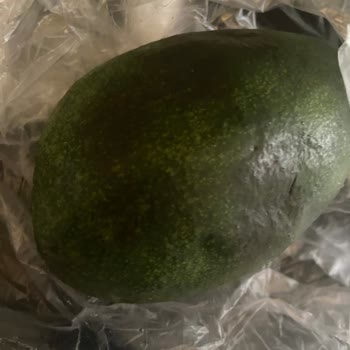 Çürük Avokado Teslimatı Sonrası İade Sürecinde Mağazadan Dönüş Alamadım