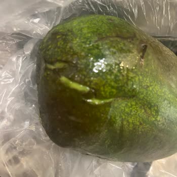Çürük Avokado Teslimatı Sonrası İade Sürecinde Mağazadan Dönüş Alamadım
