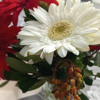 Yanlış Çiçek Teslimatı Ve Müşteri Hizmetlerine Ulaşılamıyor