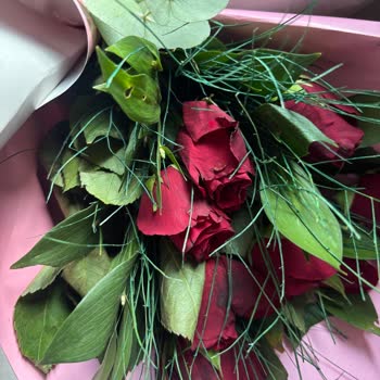 Taze Çiçek | Tazecicek.com Geç Teslimat Ve Eksik/Özensiz Ürünle Hayal Kırıklığı