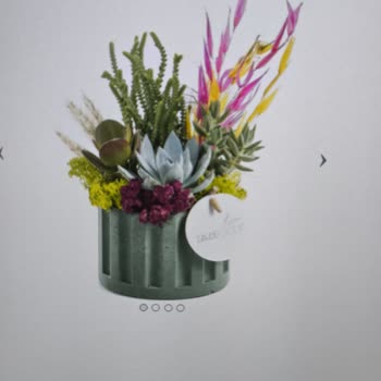 Yanlış Ve Kalitesiz Çiçek Teslimatı Nedeniyle Hayal Kırıklığı