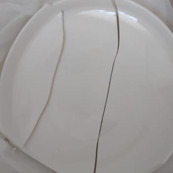 Kırık Tabak Ve Yetersiz Müşteri Hizmeti Nedeniyle Hayal Kırıklığı