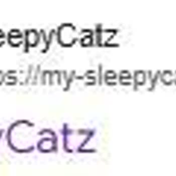 Sleepycatz Kedili Nevresim Takımı Aldım, Kargo Hiçbir Zaman Gelmedi!
