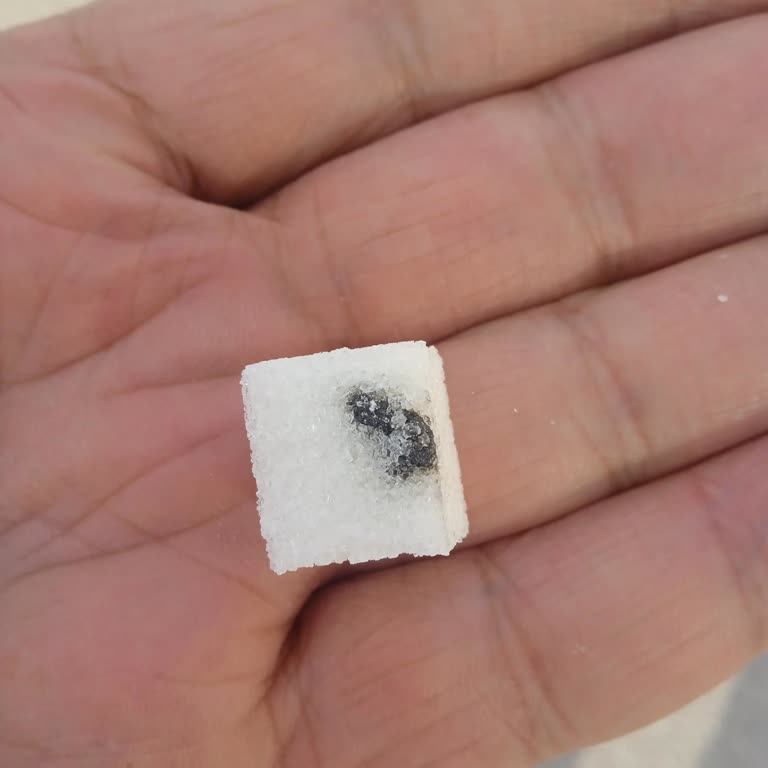 BİM'den Aldığım Şekerde Siyah Maddeler Var