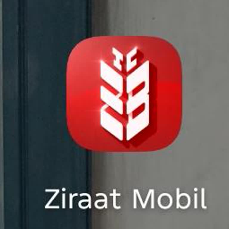 Ödenmiş Borca Rağmen Haciz Blokesi Kaldırılmıyor, Mağduriyet Yaşıyorum