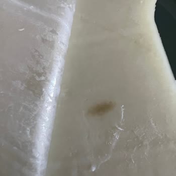 Altınkılıç Kaşar Peynirinin Son Kullanma Tarihine Rağmen Hızla Küflenmesi Güvenimi Sarstı